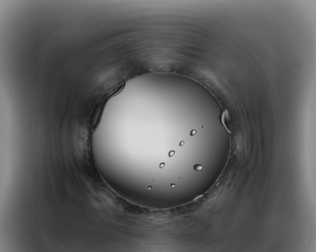 X0000088150964200705211153