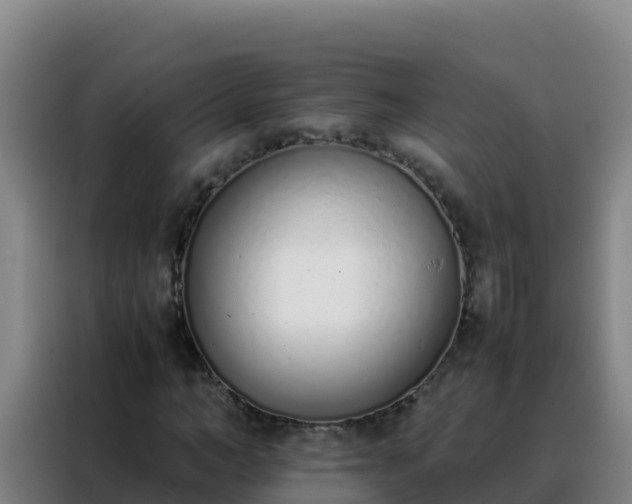 X0000088150966200705211153