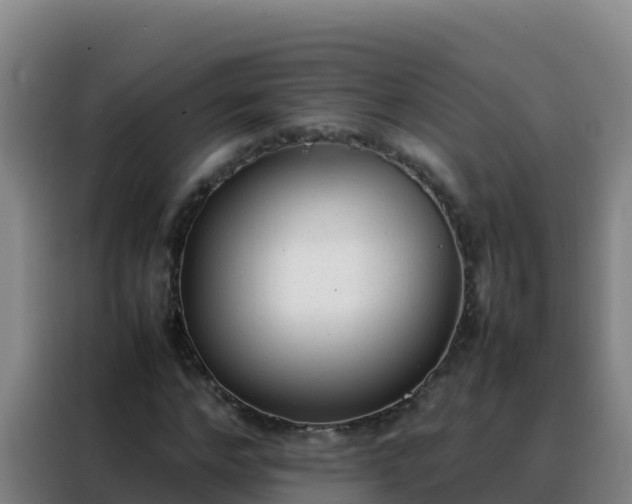 X0000088150968200705211153