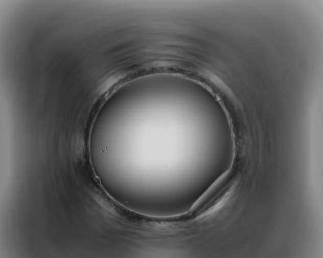 X0000088150969200705211153