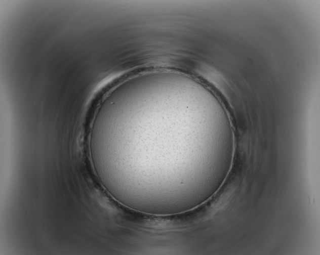 X0000088150971200705211153