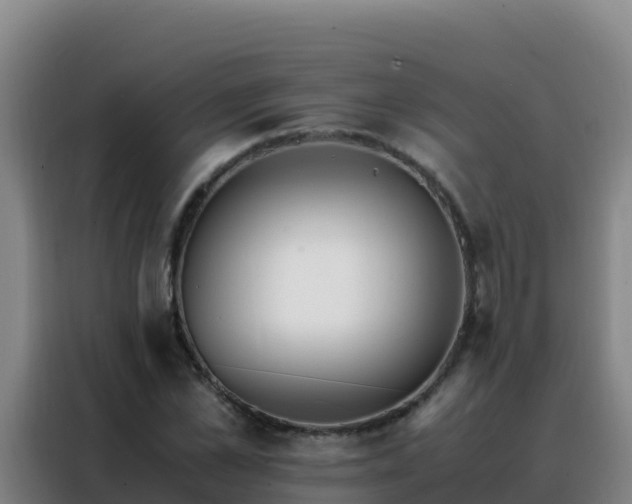 X0000088150973200705211152