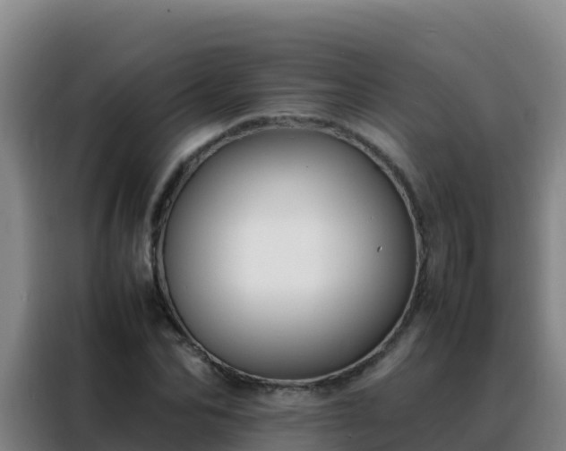 X0000088150974200705211152