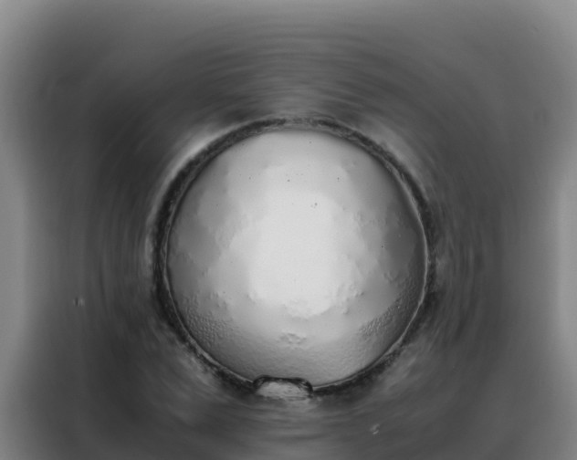 X0000088150975200705211152