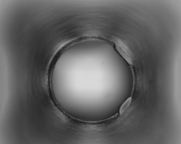 X0000088150976200705211152