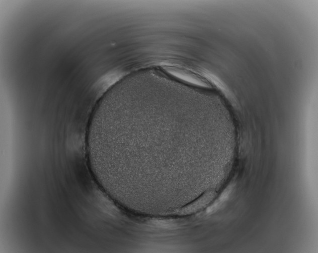 X0000088150977200705211152