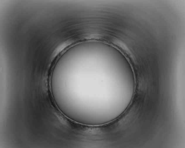 X0000088150978200705211152