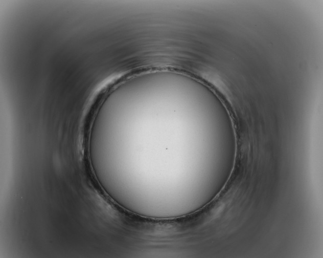 X0000088150979200705211152