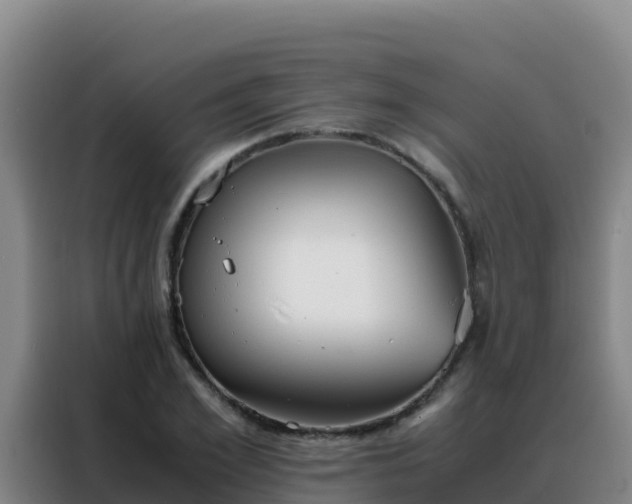 X0000088150981200705211152