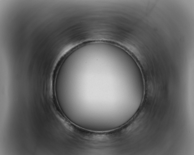 X0000088150982200705211152