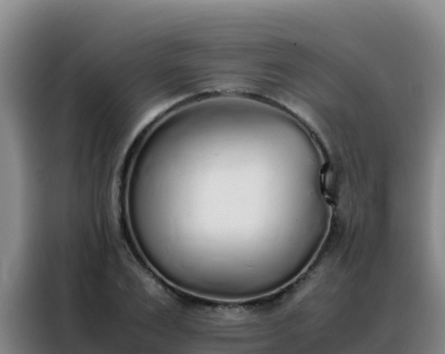 X0000088150983200705211152