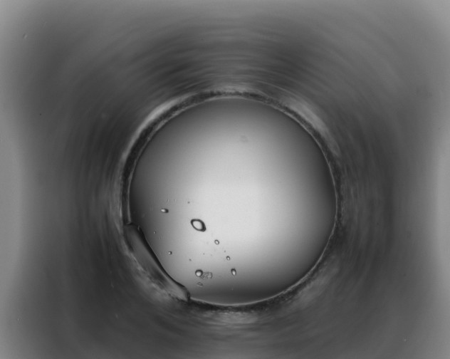 X0000088150984200705211152