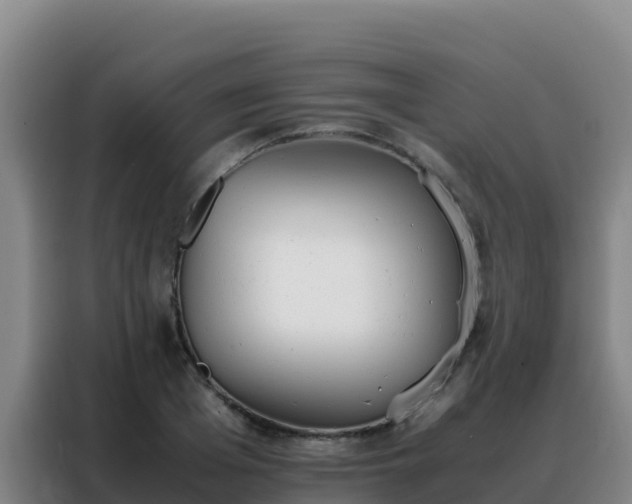 X0000088150985200705211152