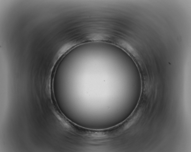 X0000088150986200705211152