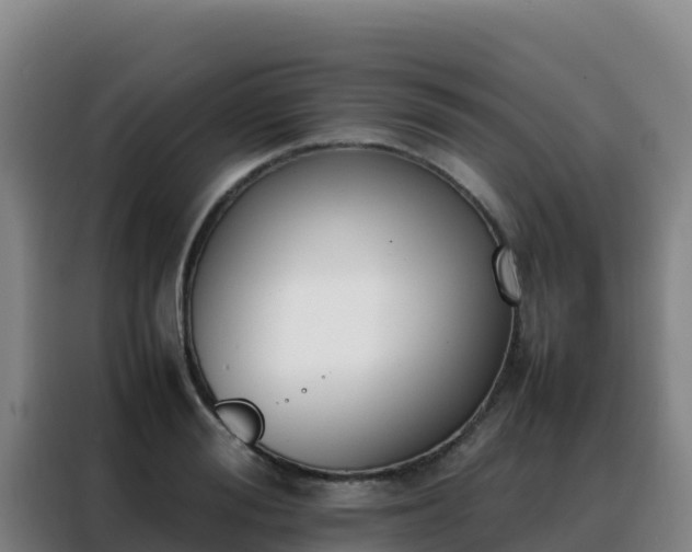 X0000088150988200705211152