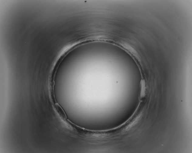 X0000088150989200705211152