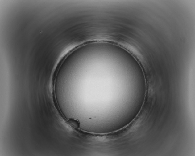 X0000088150990200705211152