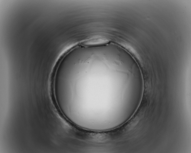 X0000088150991200705211152