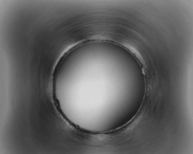 X0000088150992200705211152