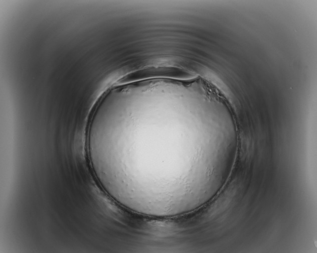 X0000088150994200705211152