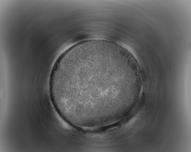 X0000088150995200705211152