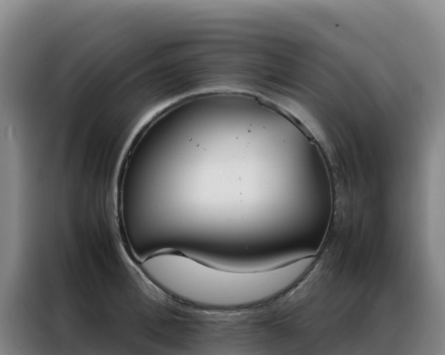 X0000088150996200705211152