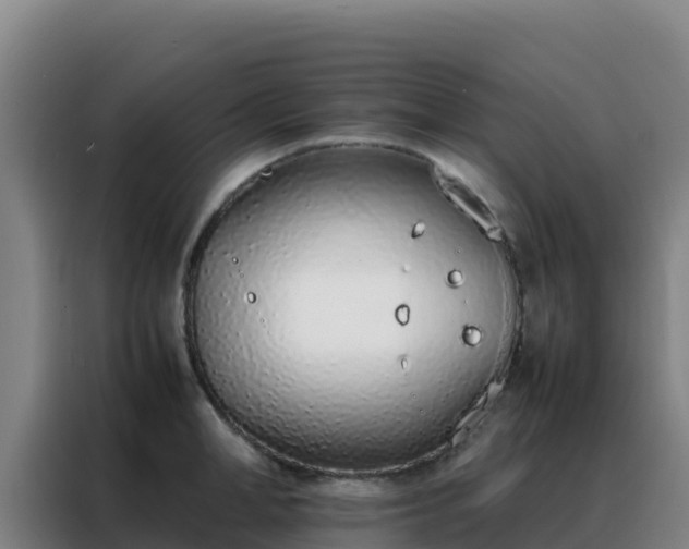 X0000088150998200705211152