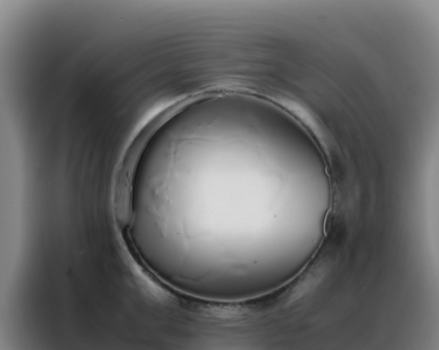 X0000088150999200705211152