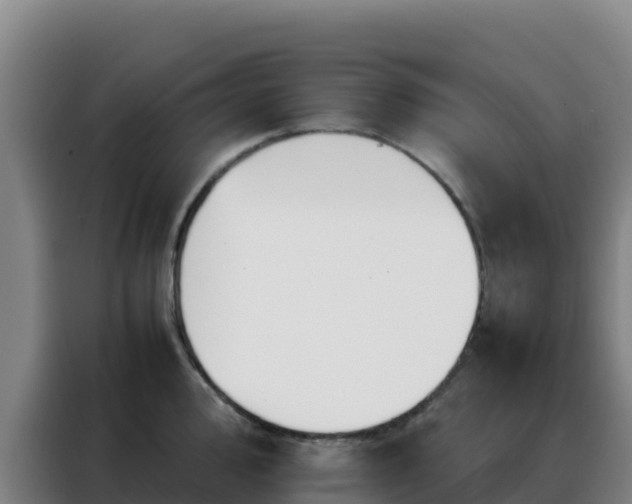 X0000088151000200705211152