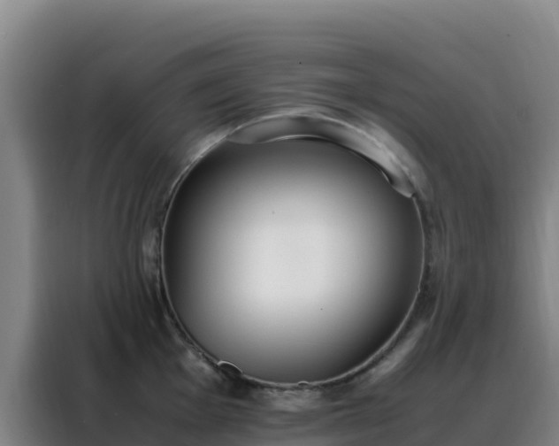 X0000088151001200705211152