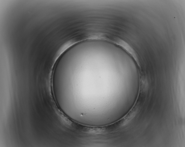 X0000088151002200705211152