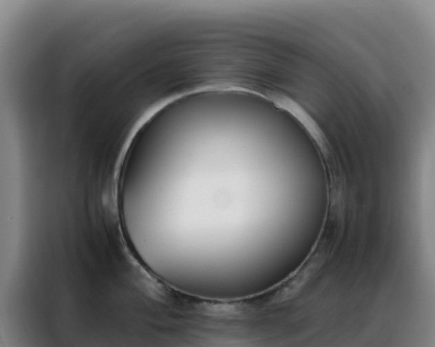 X0000088151004200705211152