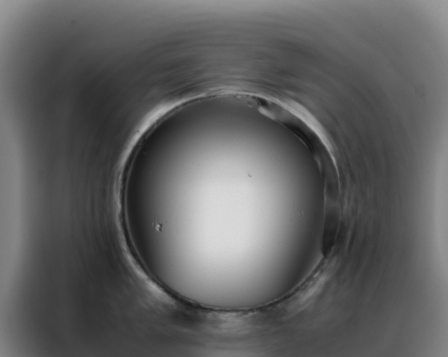 X0000088151005200705211152