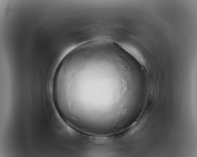 X0000088151007200705211152