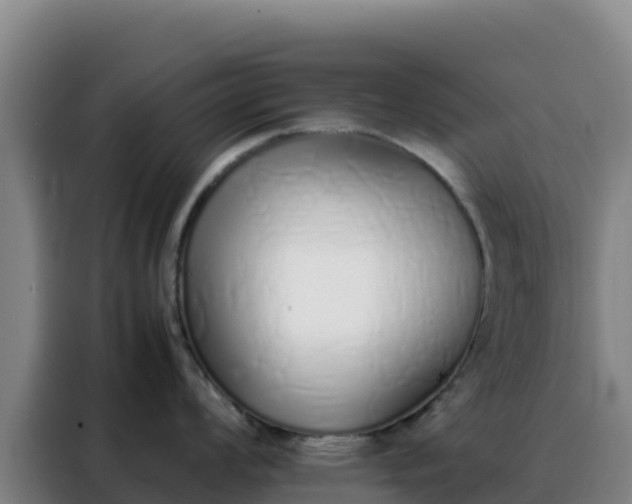 X0000088151008200705211152