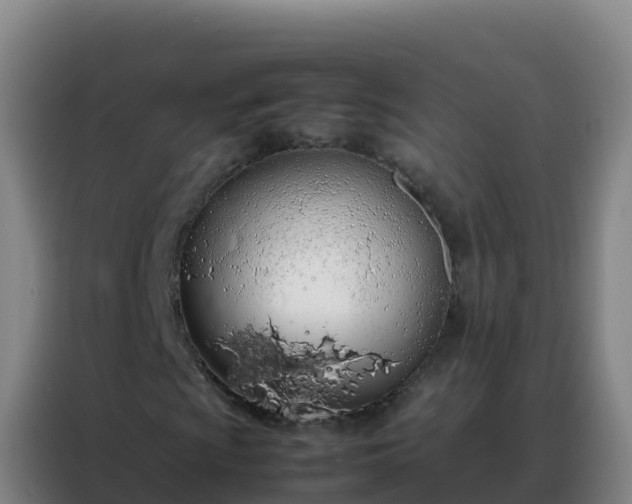 X0000088151009200705211151