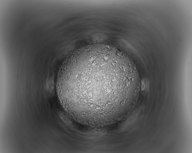 X0000088151011200705211151