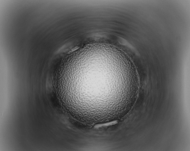 X0000088151014200705211151