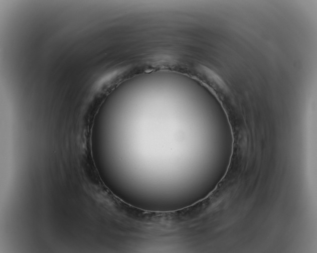 X0000088151016200705211151