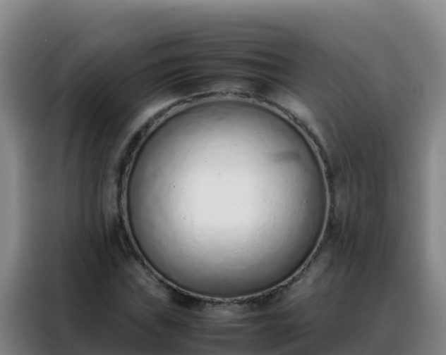 X0000088151019200705211151