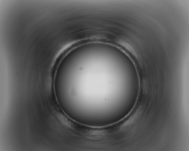 X0000088151021200705211151