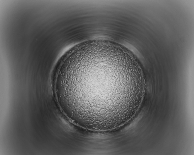 X0000088151022200705211151