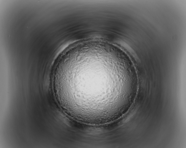 X0000088151023200705211151