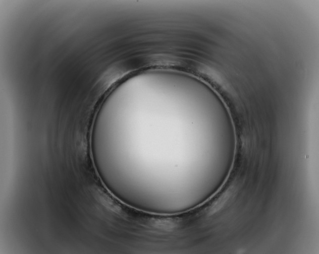 X0000088151025200705211151