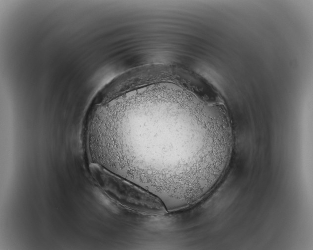 X0000088151026200705211151