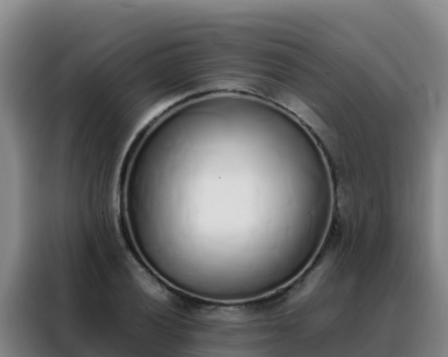 X0000088151028200705211151