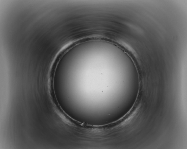 X0000088151029200705211151