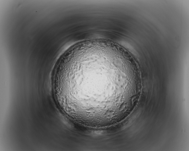 X0000088151031200705211152