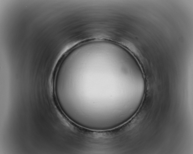 X0000088151032200705211152