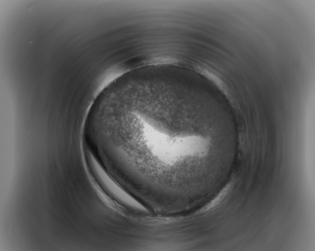 X0000088151034200705211152